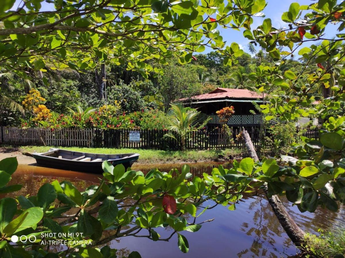 Puerto Viejo de Talamanca Madre Selva Hostel מראה חיצוני תמונה