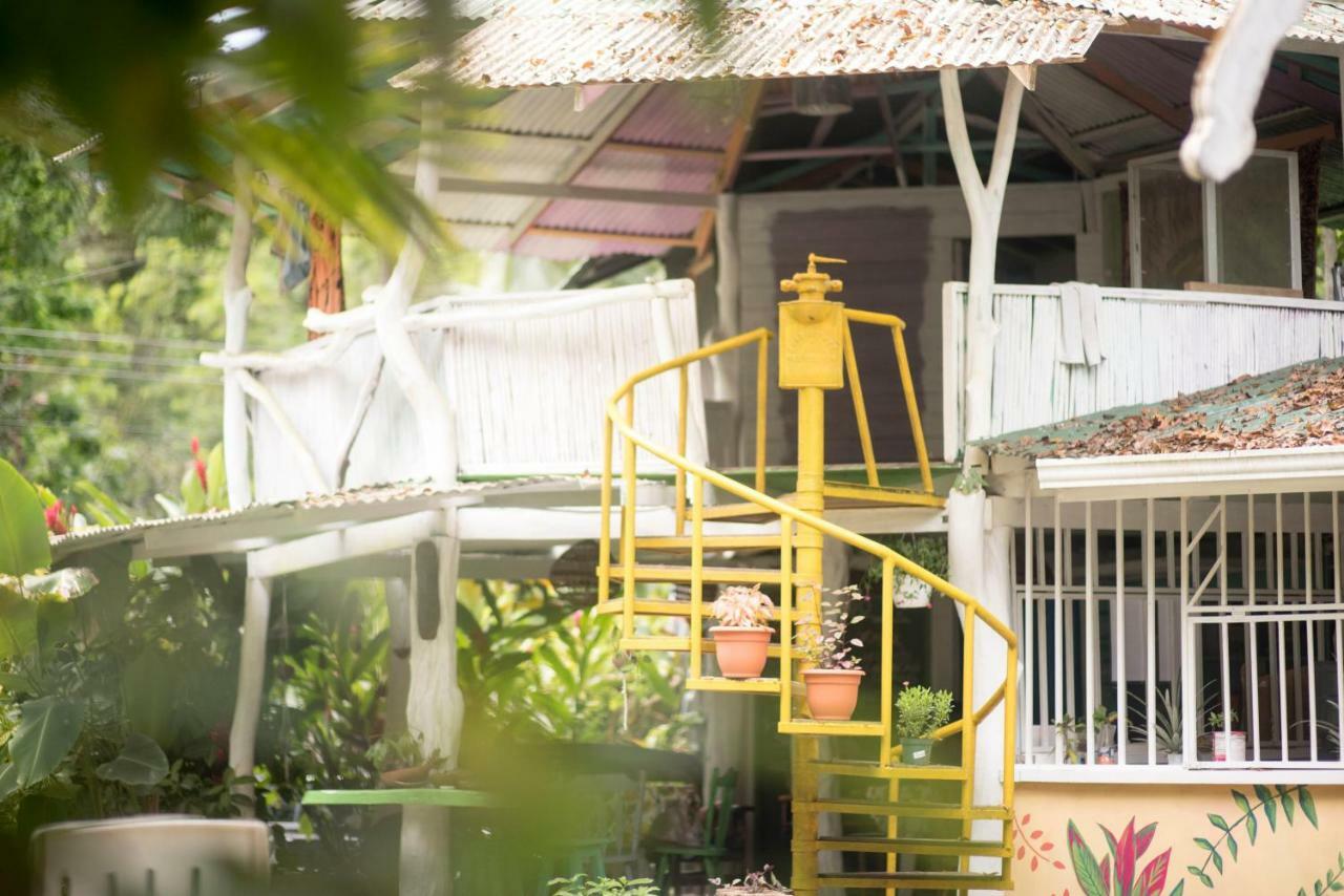 Puerto Viejo de Talamanca Madre Selva Hostel מראה חיצוני תמונה